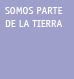 Carta de Seattle, Gran Jefe de los indios Duwamish, al Presidente de los Estados Unidos de Am�rica, en 1.855